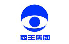 同新合作伙伴-山東西王糖業有限公司